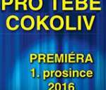 Pro tebe cokoliv