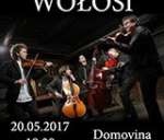 WOŁOSI