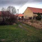 tousice-3.jpg