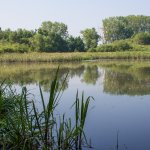 turynsky-rybnik-7.jpg