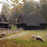 valasske-muzeum-v-prirode-v-roznove-pod-radhostem-valasska-dedina-2.jpg