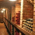 vinarstvi-malanik-osicka-5.jpg