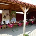 vinarstvi-vajbar-6.jpg
