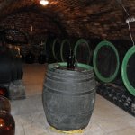 vinnarstvi-josef-vitek-1.jpg