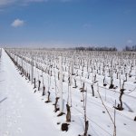 vinnarstvi-milan-nestarec-1.jpg