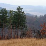 vysenske-kopce-narodni-prirodni-rezervace-2.jpg