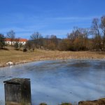 vysenske-kopce-narodni-prirodni-rezervace-5.jpg