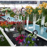 vystaviste-flora-olomouc-1.jpg