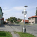 vyzlovka-1.jpg