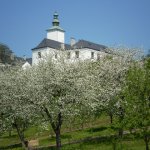 zamek-kelc-4.jpg