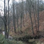 zanikly-hrad-bolkov-1.jpg