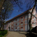 zirovnice-1.jpg