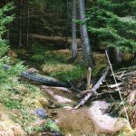 zofinsky-prales-3.jpg