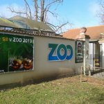 zoo-ohrada-hluboka-nad-vltavou-2.jpg