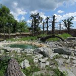 zoo-ohrada-hluboka-nad-vltavou-4.jpg