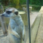 zoo-olomouc4.jpg