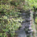 zricenina-hradu-maskovec-5.jpg