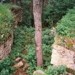 zricenina-hradu-osule-vitejovice-3.jpg