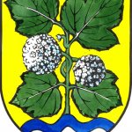 zvikovec-2.jpg