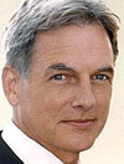 Mark Harmon