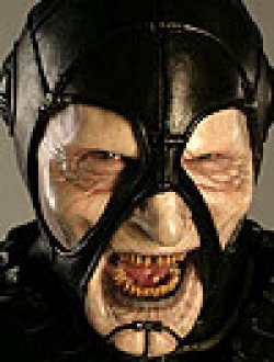 Wayne Pygram