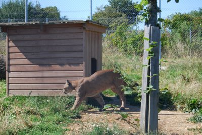 Zoologicka-zahrada-Tabor-Vetrovy4.jpg