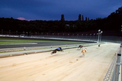 areal-greyhound-park-motol-1.jpg