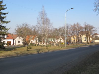 cerncice-1.jpg
