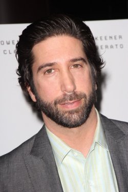 David Schwimmer