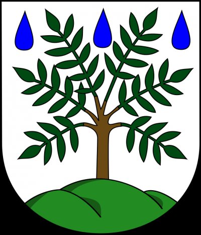 destne-v-orlickych-horach-2.jpg