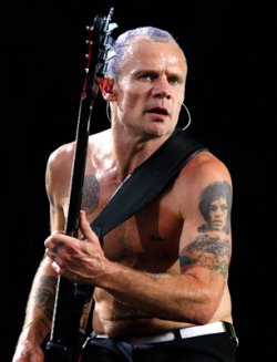 Flea