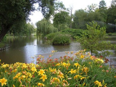 kralovska-obora-stromovka-4.jpg