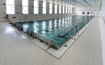 kryty-plavecky-bazen-lovosice-1.jpg