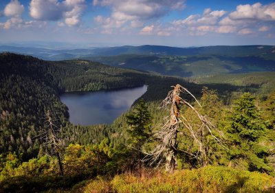 narodni-park-sumava.jpg