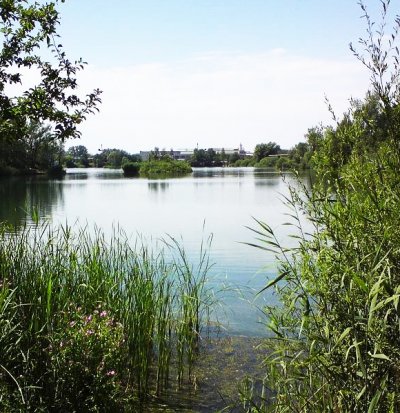 prirodni-koupaliste-brezhrad-opatak1.jpg