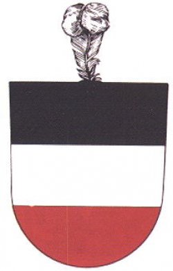 stoky-2.jpg