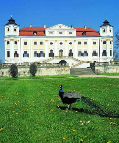 zamek-milotice9-1.jpg