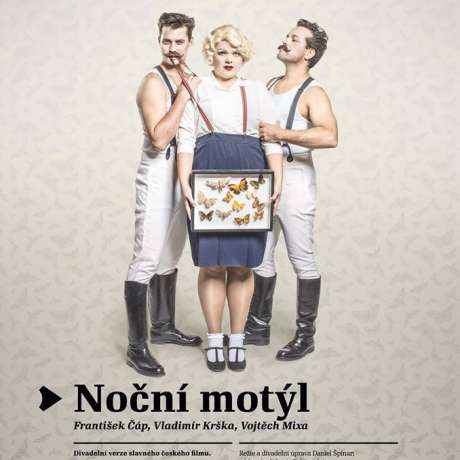 Noční motýl