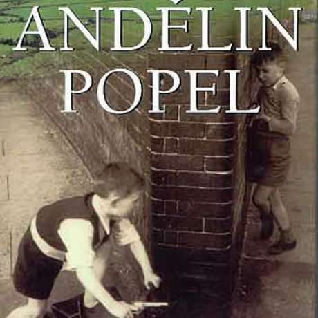 Andělin popel, F. McCourt - Snídaně s irskými autory