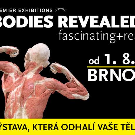 Bodies Revealed