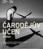 Čarodějův učeň