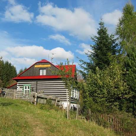 Zvěřinové hody