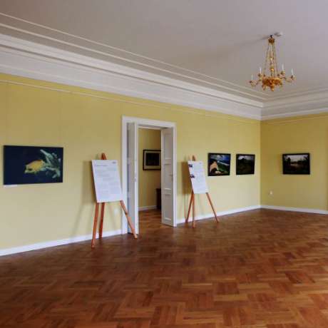 Galerie Kinský