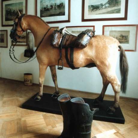 Hipologická expozice + Zámecká expozice