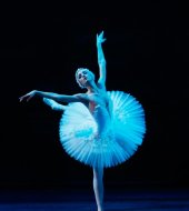 Labutí jezero (Swan Lake)