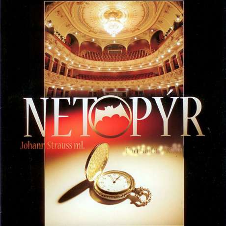 Netopýr
