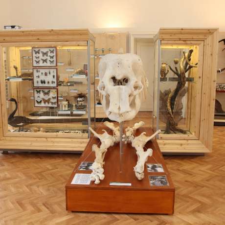 Prohlídka zoologické expozice