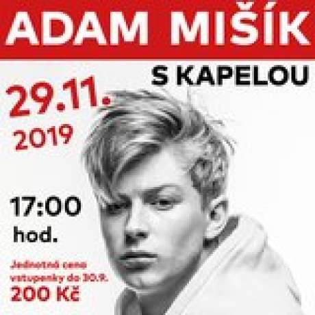 ADAM MIŠÍK - koncert s kapelou
