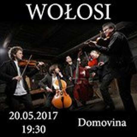 WOŁOSI
