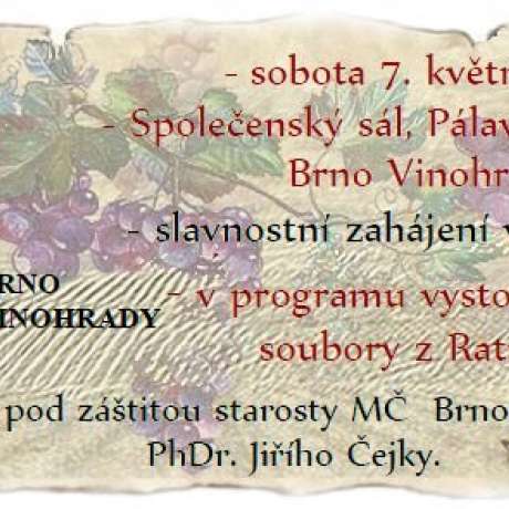 Výstava vín Brno - Vinohrady